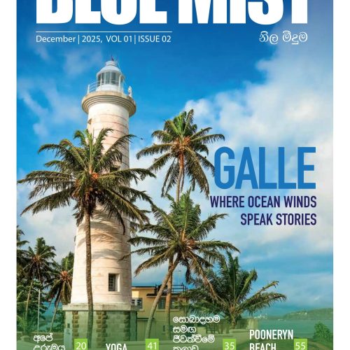 Blue Mist Magazine - December Issue OUT NOW !